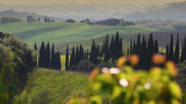 Schöne Toskanische Landschaft Der Nähe Von Siena Mit Zypressen Italien — Stockvideo
