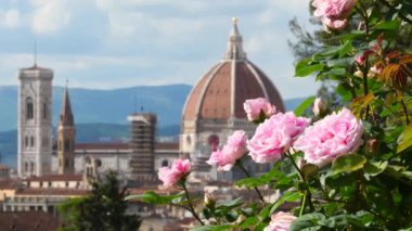 Floransa 'daki ünlü gül bahçesinde rüzgarın estiği güzel pembe güller. Arka planda Santa Maria del Fiore Katedrali var. İtalya