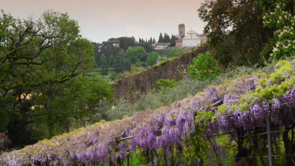 대성당 Basilica San Miniato Monte 바르디 정원에서 아름다운 시스티나 이탈리아 — 비디오