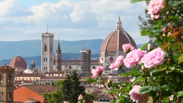 Piękne Różowe Róże Wieje Wiatr Słynnym Ogrodzie Różanym Florencji Katedrą — Wideo stockowe