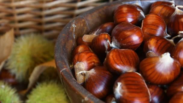 背景に緑のハリネズミがぼやけた木の鉢の中に新鮮に摘まれた栗のクローズアップ 10月 栗の収穫時間 一般的な新鮮な秋の果物 — ストック動画
