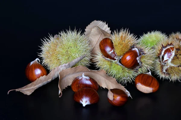 Primo Piano Castagne All Interno Del Riccio Con Foglie Isolate — Foto Stock