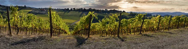 Piękne Winnice Zachmurzonym Niebem Chianti Classico Pobliżu Greve Chianti Włochy — Zdjęcie stockowe
