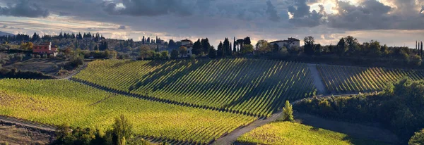 Prachtige Wijngaarden Met Bewolkte Luchten Chianti Classico Regio Bij Greve — Stockfoto