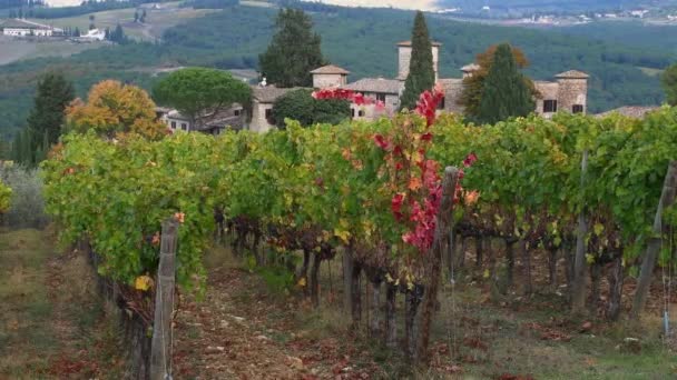 Viñedos Zona Chianti Entre Florencia Siena Temporada Otoño Zona Chianti — Vídeos de Stock