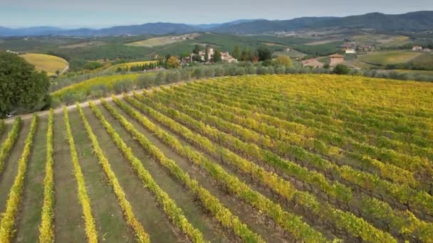 位于Chianti Classico市中心的葡萄园 位于佛罗伦萨和锡耶纳之间 秋天会变成黄色 意大利San Casciano Val Pesa附近Chianti地区黄色葡萄园的空中景观 — 图库视频影像