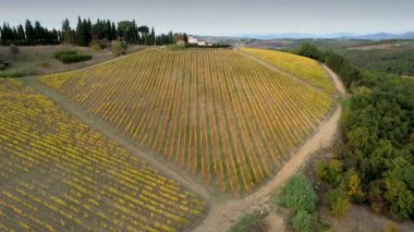 Floransa ve Siena arasındaki Chianti Classico 'nun göbeğindeki üzüm bağları sonbahar mevsiminde sararır. San Casciano Val di Pesa, İtalya yakınlarındaki Chianti bölgesindeki sarı üzüm bağlarının hava manzarası.