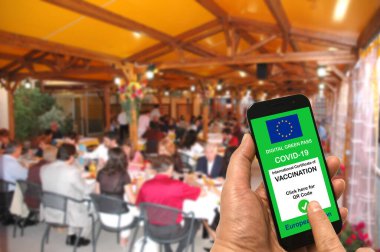 Restoranda bir adam elinde Avrupa Birliği dijital yeşil kartı olan bir akıllı telefon tutuyor. Elinde Covid-19 için. Coronavirus ve Yeşil Geçiş için güvenlik kavramı