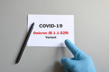 Doktor eli mavi eldivenli, beyaz kartlı ve Covid-19 Omicron Varyant ve kalemli. Tıbbi ve COVID-19 omikron varyant türü konsepti. Boşluğu kopyala.