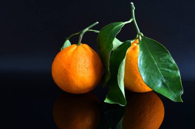 Yeşil yapraklı taze tarot portakallarının yakın plan görüntüsü, siyah yansıtıcıya izole edilmiş.