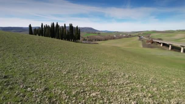 Groupe Cyprès Toscane Près San Quirico Orcia Vue Aérienne Des — Video