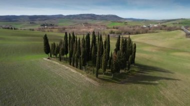 San Quirico d 'Orcia yakınlarındaki Toskana' da bir grup Cypress. Val D 'Orcia, İtalya' da selvi çiçeğinin dairesel hava görüntüsü.