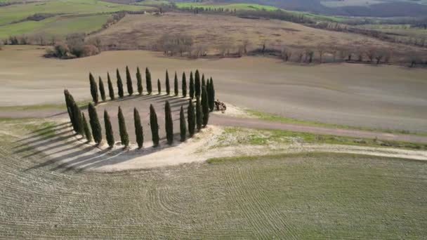Cypresser Toscana Nära San Quirico Orcia Cirkulär Antenn Syn Cypress — Stockvideo