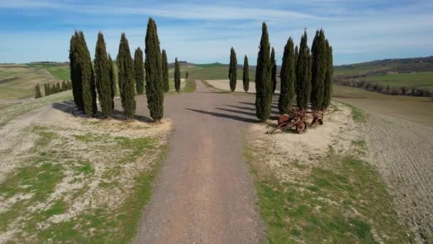 Cypresser Toscana Nära San Quirico Orcia Flygfoto Cypresser Ring Val — Stockvideo