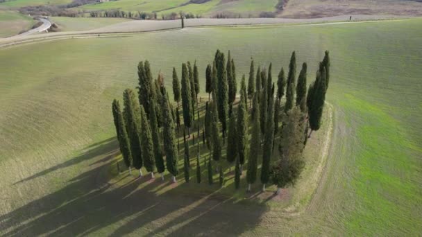 Gruppo Cipressi Toscana Vicino San Quirico Orcia Veduta Aerea Circolare — Video Stock
