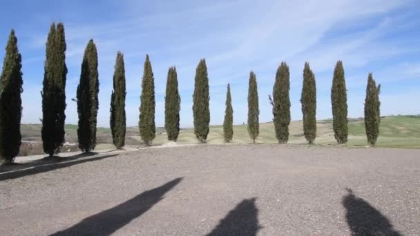San Quirico Orcia Şubat 2022 Toskana Daki Cypress Grubu Val — Stok video