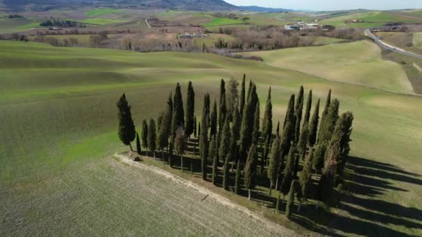 Grupo Ciprestes Toscana Perto San Quirico Orcia Vista Aérea Ciprestes — Vídeo de Stock