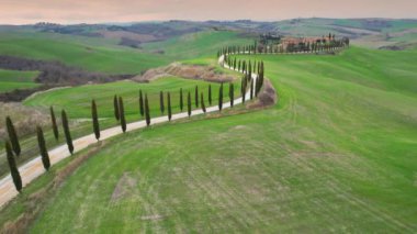 İtalya, Toskana - Mart 2022: Asciano yakınlarındaki Agriturismo Baccoleno 'ya giden Kıbrıs ağaçlarının hava manzarası. Val d 'Orcia, Siena Eyaleti. İtalya