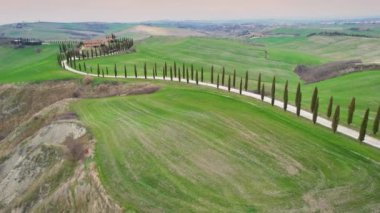 İtalya, Toskana - Mart 2022: Asciano yakınlarındaki Agriturismo Baccoleno 'ya giden Kıbrıs ağaçlarının hava manzarası. Val d 'Orcia, Siena Eyaleti. İtalya