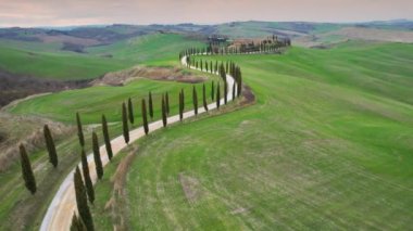 İtalya, Toskana - Mart 2022: Asciano yakınlarındaki Agriturismo Baccoleno 'ya giden Kıbrıs ağaçlarının hava manzarası. Val d 'Orcia, Siena Eyaleti. İtalya