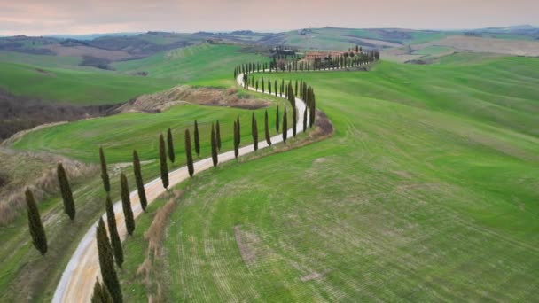 Италия Тоскана Март 2022 Вид Воздуха Кипарисы Ведущие Agriturismo Baccoleno — стоковое видео