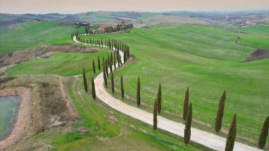 İtalya, Toskana - Mart 2022: Asciano yakınlarındaki Agriturismo Baccoleno 'ya giden Kıbrıs ağaçlarının hava manzarası. Val d 'Orcia, Siena Eyaleti. İtalya
