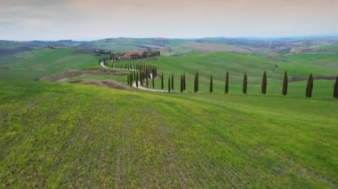 İtalya, Toskana - Mart 2022: Asciano yakınlarındaki Agriturismo Baccoleno 'ya giden Kıbrıs ağaçlarının hava manzarası. Val d 'Orcia, Siena Eyaleti. İtalya