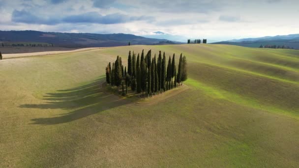 Bahar Döneminde Toskana Daki Yeşil Tepelerdeki Selvi Grubu Val Orcia — Stok video