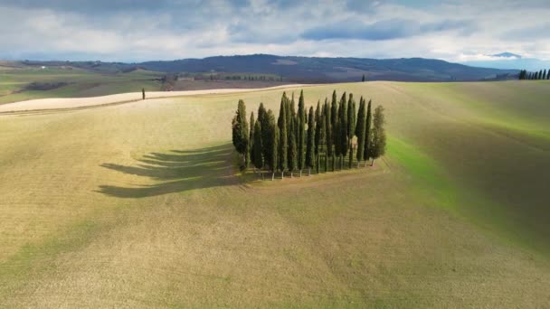 Zypressengruppe Der Toskana Den Grünen Hügeln Während Des Frühlings Rundumaufnahme — Stockvideo