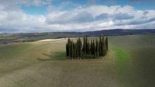 Gruppo Cipressi Toscana Tra Verdi Colline Durante Periodo Primaverile Veduta — Video Stock