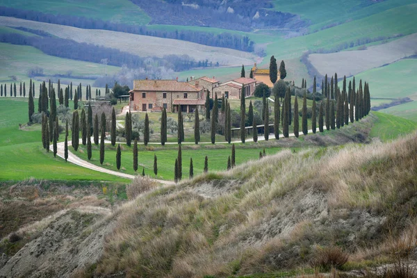Asciano Italien März 2022 Typische Toskanische Landschaft Einer Der Berühmtesten — Stockfoto