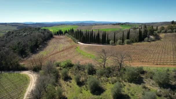 Indah Pandangan Udara Pada Lanskap Tuscan Musim Semi Dekat Siena — Stok Video