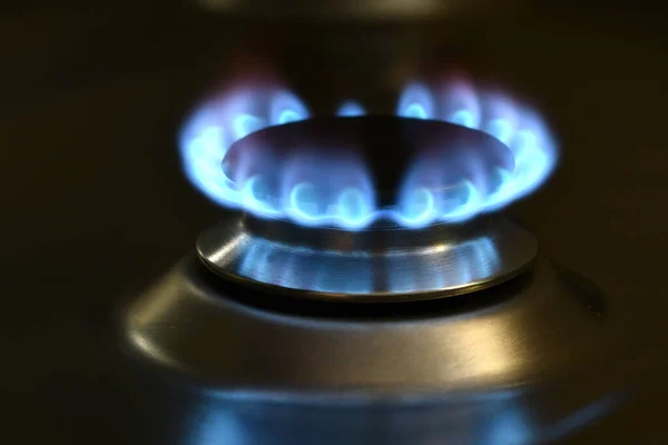Close up on blue fire from domestic kitchen stove top. Gas cooker with burning flames of propane gas. Industrial resources and economy concept.