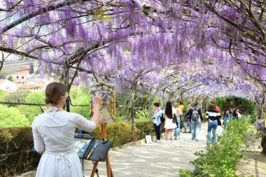 Floransa, Nisan 2022: Floransa 'da mor salkımlar tüneli çiçek açtı. Ressamlar, Piazza Michelangelo yakınlarında açan mor Wisteria tünelini tasvir ediyorlar. İtalya