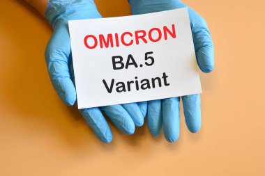 Covid-19 yeni Omicron varyantları. Mavi eldivenli doktorun elleri üzerinde 
