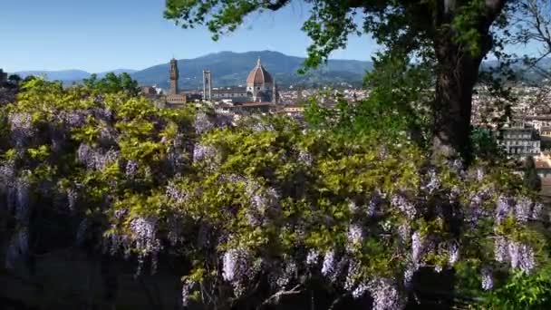 Beautiful View Famous Cathedral Santa Maria Del Fiore Giotto Bell — Stockvideo