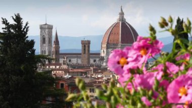 The Cathedral of Santa Maria del Fiore with poppies in the foreground. Florence, Italy.