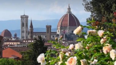 The famous Cathedral of Santa Maria del Fiore in Florence with blooming yellow roses on foreground. Italy