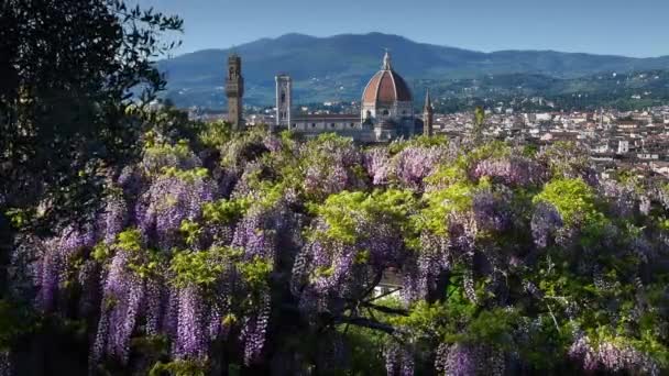 Beautiful View Famous Cathedral Santa Maria Del Fiore Giotto Bell — Stockvideo