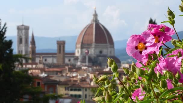 Poppies Cathedral Santa Maria Del Fiore Background Florence Italy — Stock Video