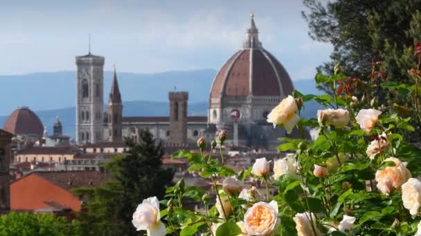 Roses Bloom Famous Rose Garden Florence Cathedral Santa Maria Del — Stock Video