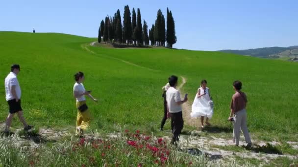 San Quirico Orcia May 2022 Tourists Admire Tuscan Landscape Cypresses — Vídeo de Stock