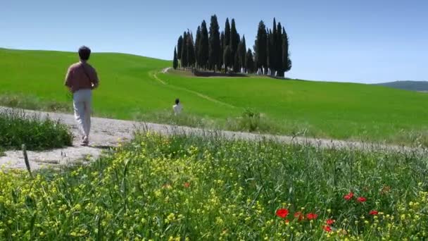 San Quirico Orcia May 2022 Tourists Admire Tuscan Landscape Cypresses — 图库视频影像