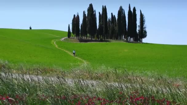 San Quirico Orcia May 2022 Two People Walk Small Group — Stockvideo