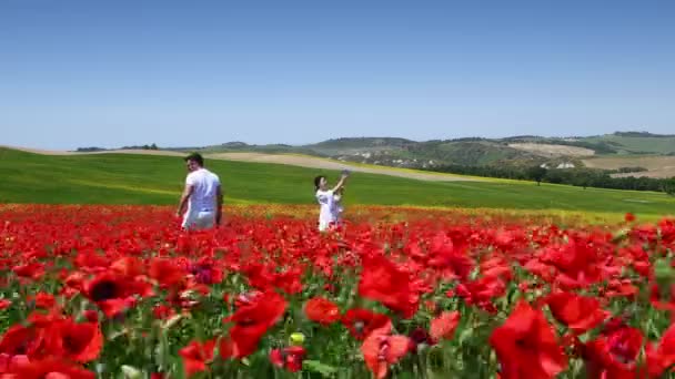 Pienza May 2022 Tourists Spectacular Field Red Poppies Tuscan Countryside — Vídeos de Stock