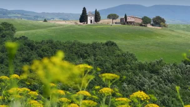 Famous Chapel Vitaleta Pienza Defocused Yellow Flowers Foreground Pienza Tuscany — Stok video