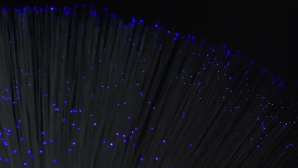 Fiber Optics Detail Tips Fiber Optic Tubes Illuminated Blue Green — Wideo stockowe