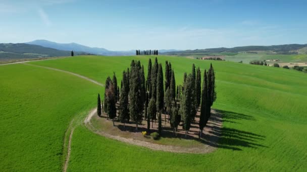 San Quirico Orcia May 2022 Group Cypresses Tuscany Circular Aerial — Stok video
