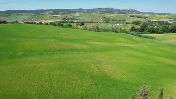 San Quirico Orcia May 2022 Beautiful Aerial Shot Group Cypresses — Stockvideo