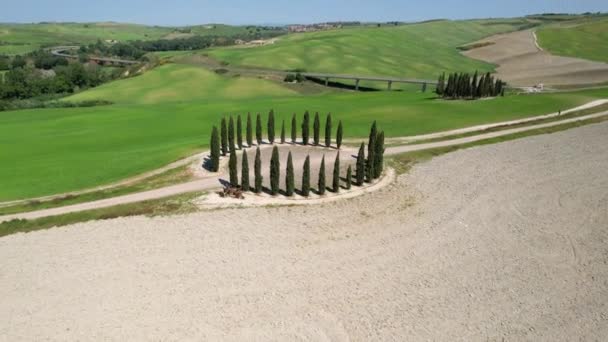 San Quirico Orcia May 2022 Group Cypresses Tuscany Circular Aerial — Stockvideo